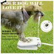 Automatic Dog Drinking Fountain - Shoply