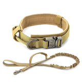 Dog Collar - Shoply