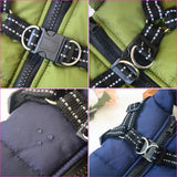 Winter Dog Jacket - Shoply