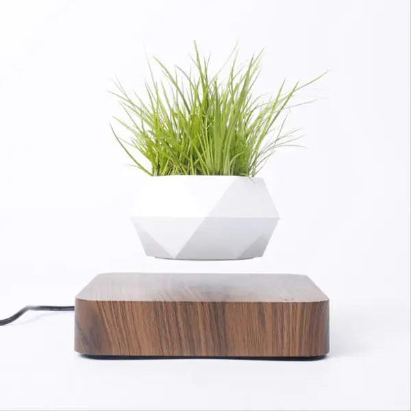 Levitating Air Bonsai Pot - Shoply