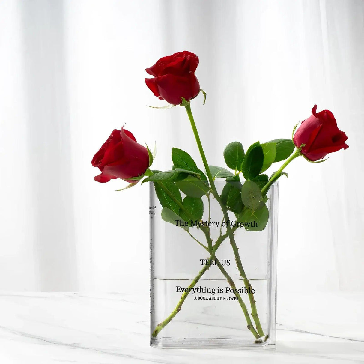 Transparent Book Vase - Shoply