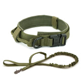 Dog Collar - Shoply