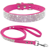 Pet Collar - Shoply