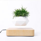 Levitating Air Bonsai Pot - Shoply