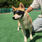 Adjustable UV Protection Puppy Sunglasses for Small to Medium Dog - Shoply