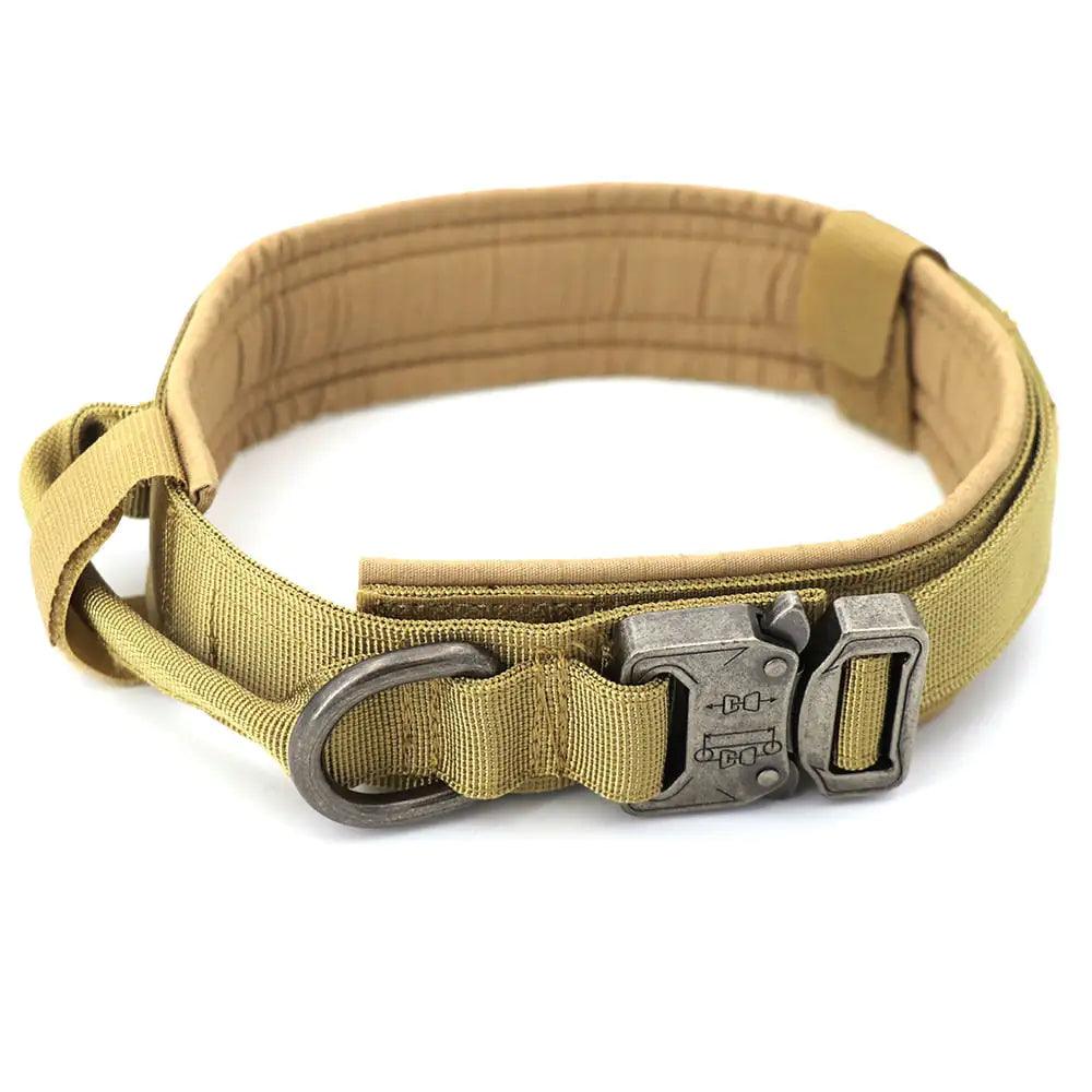 Dog Collar - Shoply