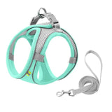 Escape Proof Small Pet Harness Leash Set - Shoply