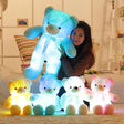 LED Teddy Bear - Shoply