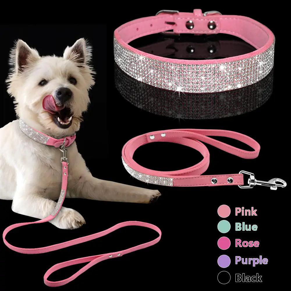 Pet Collar - Shoply