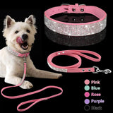 Pet Collar - Shoply