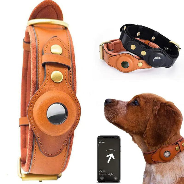 Leather Anti-Lost Dog Collar - Shoply