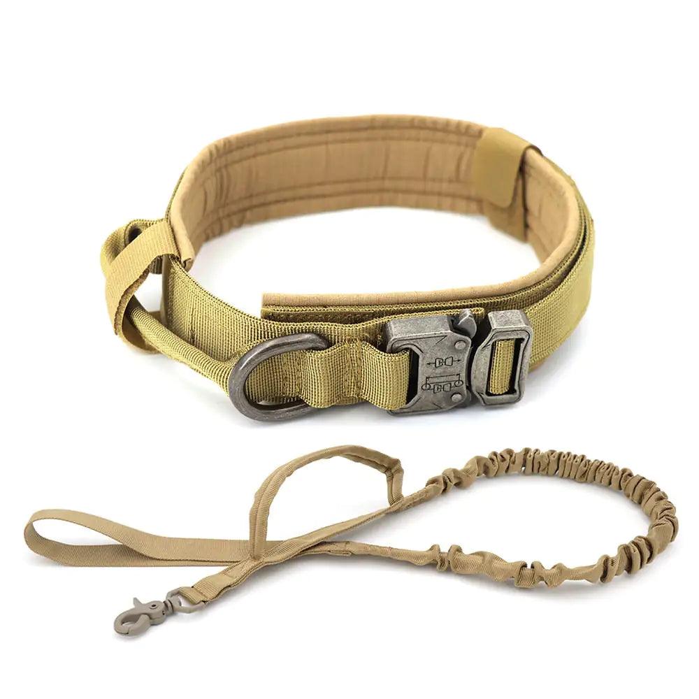 Dog Collar - Shoply