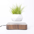 Levitating Air Bonsai Pot - Shoply