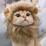 Lion Mane Cat Costume - Shoply