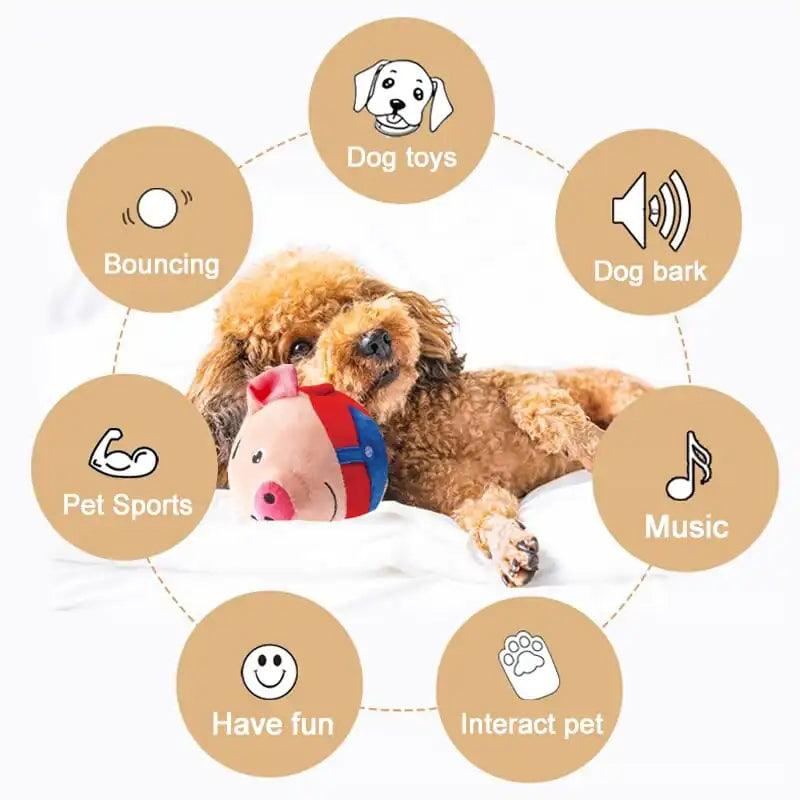 PetPalz: Interactive Talking Ball For Pets - Shoply