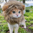 Lion Mane Cat Costume - Shoply