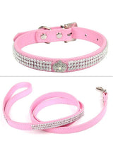 Pet Collar - Shoply