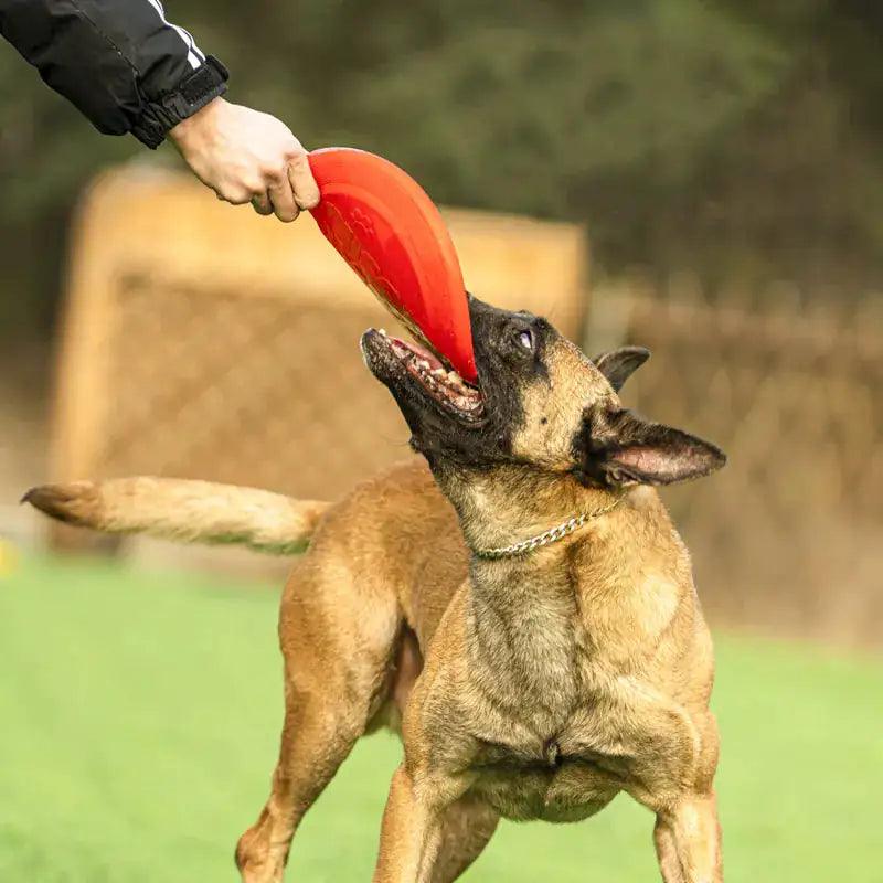 OnlinePetToys™- Dog rubber flying disc - Shoply