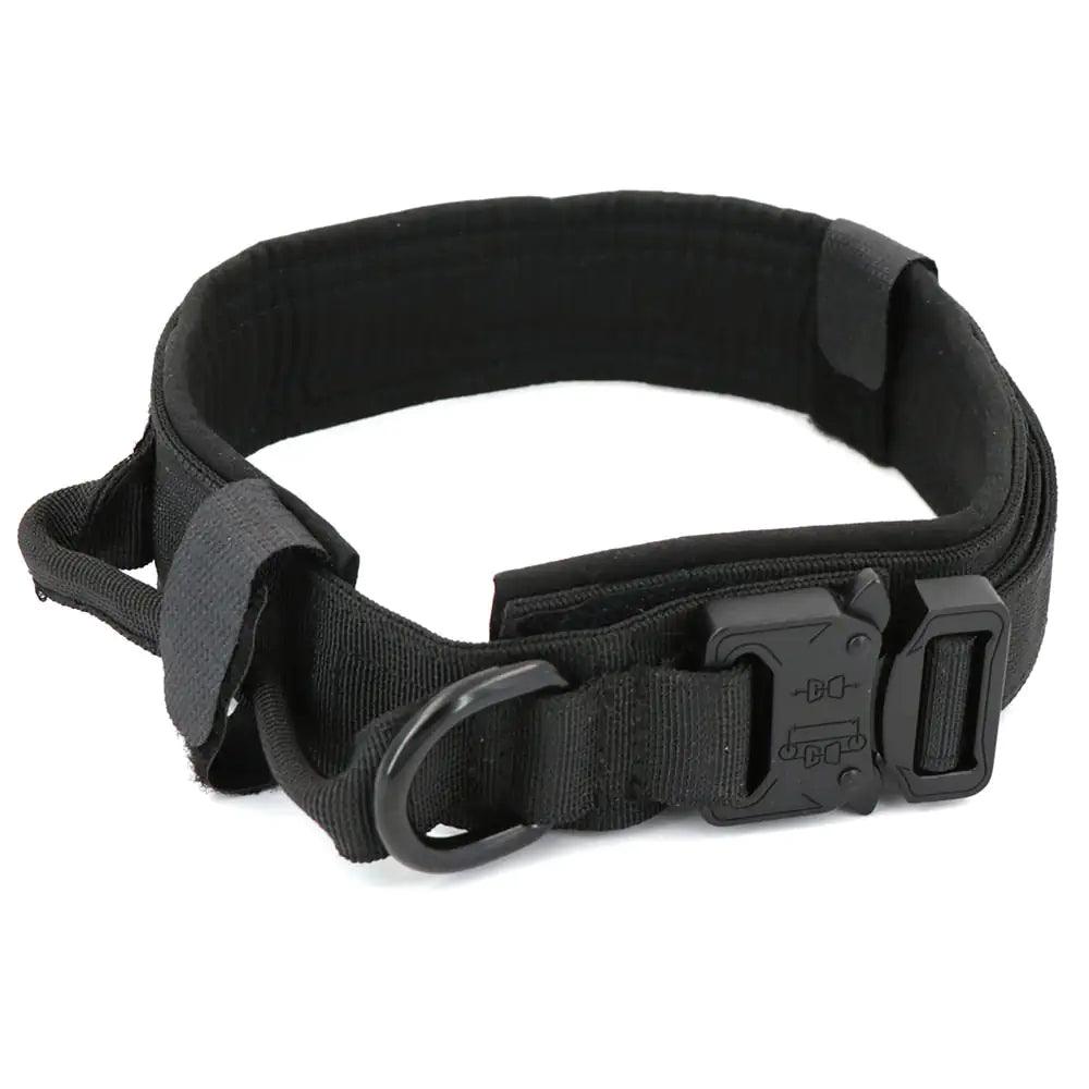 Dog Collar - Shoply