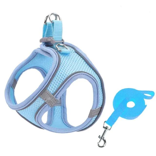 Escape Proof Small Pet Harness Leash Set - Shoply