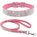 Pet Collar - Shoply