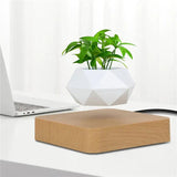 Levitating Air Bonsai Pot - Shoply