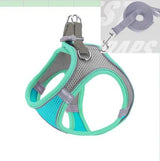 Escape Proof Small Pet Harness Leash Set - Shoply