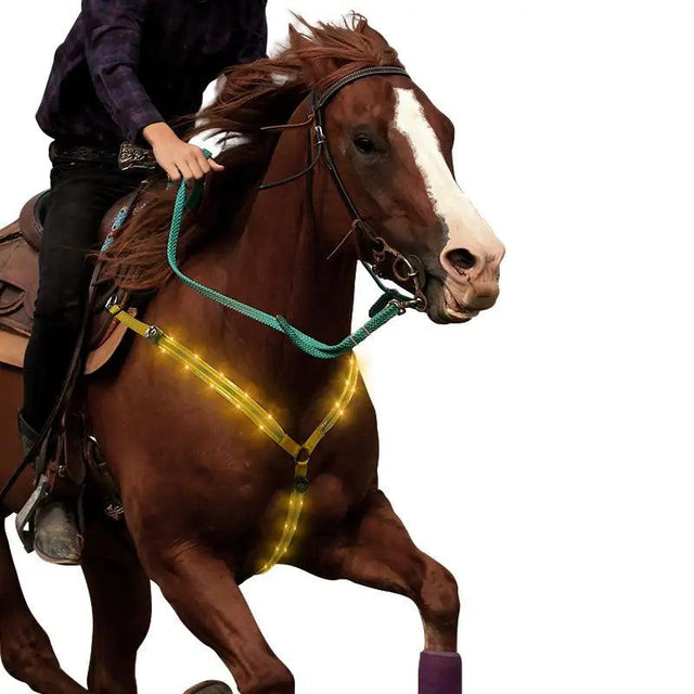 Nylon LED Horse Harness - Shoply