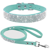 Pet Collar - Shoply