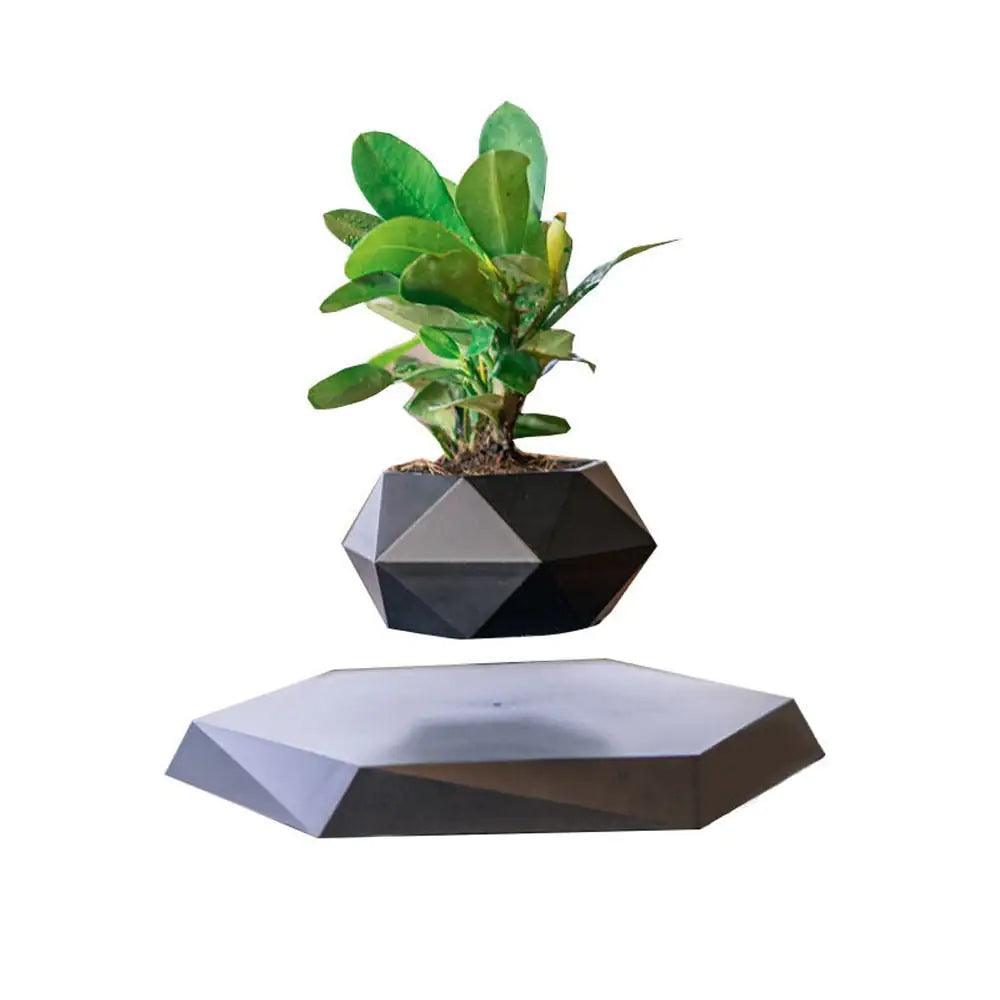 Levitating Air Bonsai Pot - Shoply