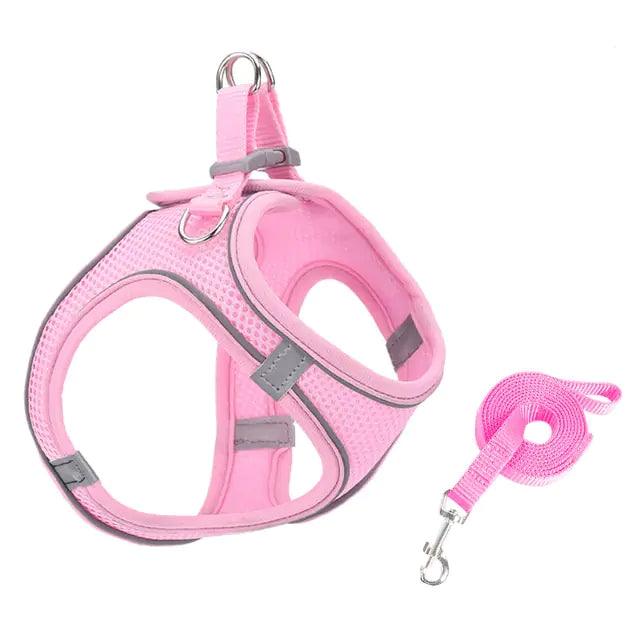 Escape Proof Small Pet Harness Leash Set - Shoply