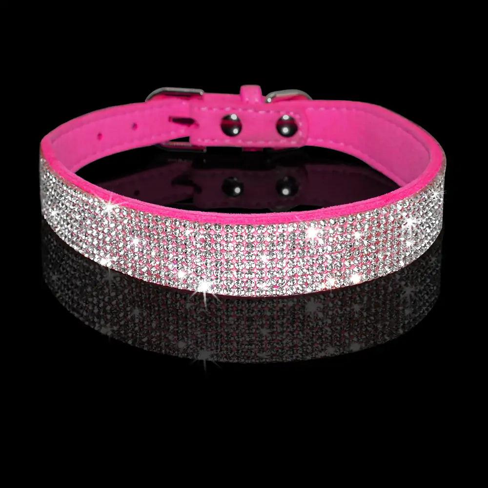 Pet Collar - Shoply