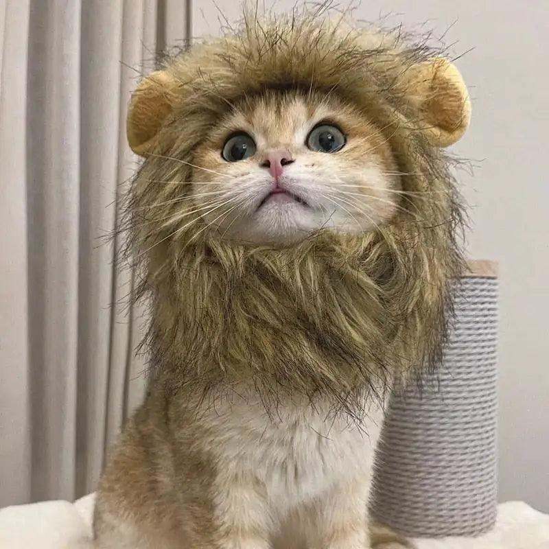 Lion Mane Cat Costume - Shoply