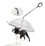 Transparent Pet Umbrella - Shoply