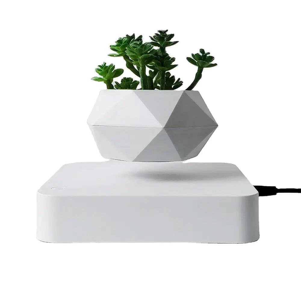 Levitating Air Bonsai Pot - Shoply