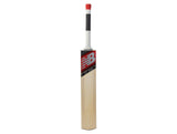 New Balance TC550 English Willow Cricket Bat (Short Handle) - Mill Sports 