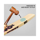 GM Haze Maestro Kashmir Willow Cricket Bat (Short Handle) Mill Sports 